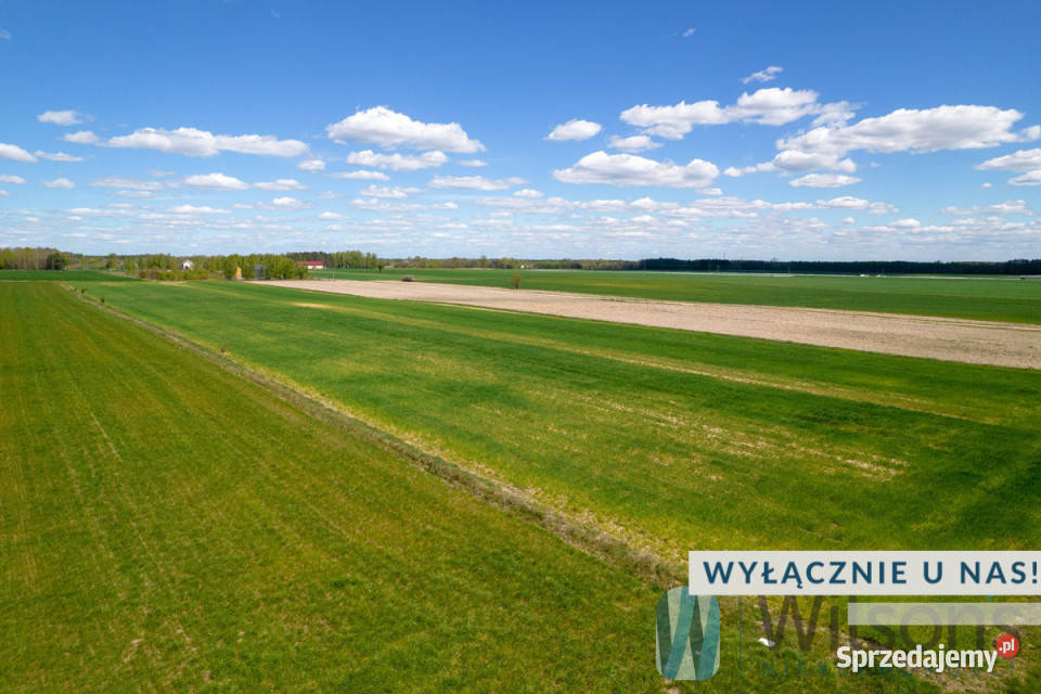 Działka Tomaszówka 5433m2 woda Sprzedaż