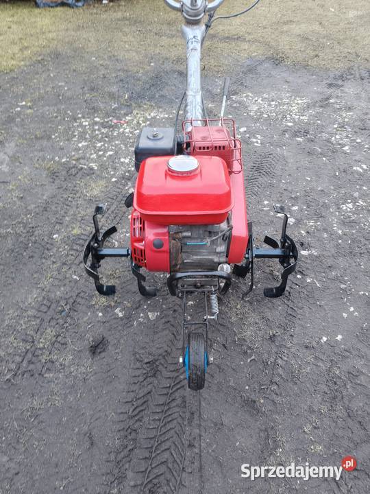 Glebogryzarka spalinowa Honda kujawsko-pomorskie Dąbrowa Biskupia