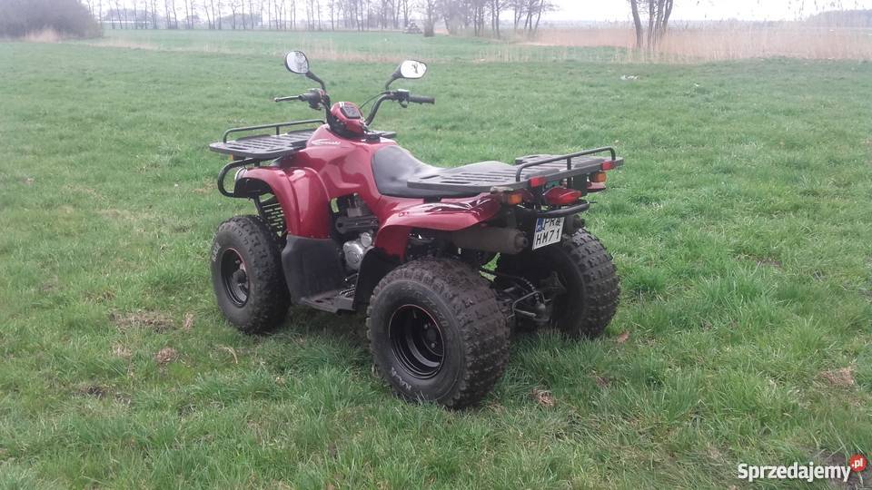 MOTORTEK TM 175 1500km Ostoje