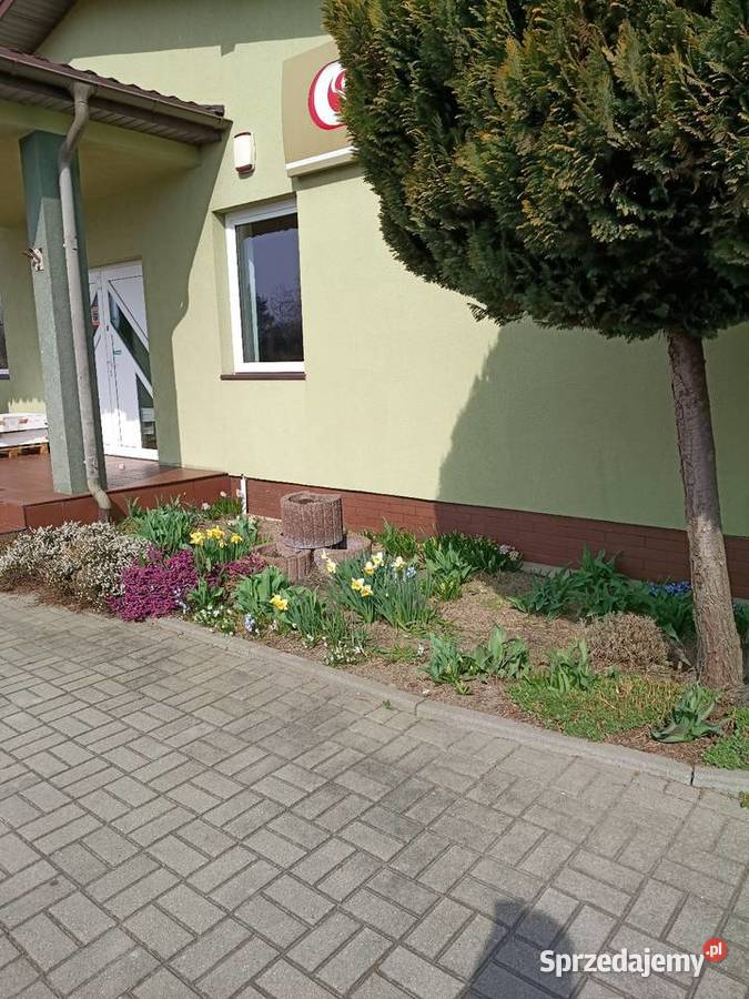 Budynek handlowo uslugowy Płock