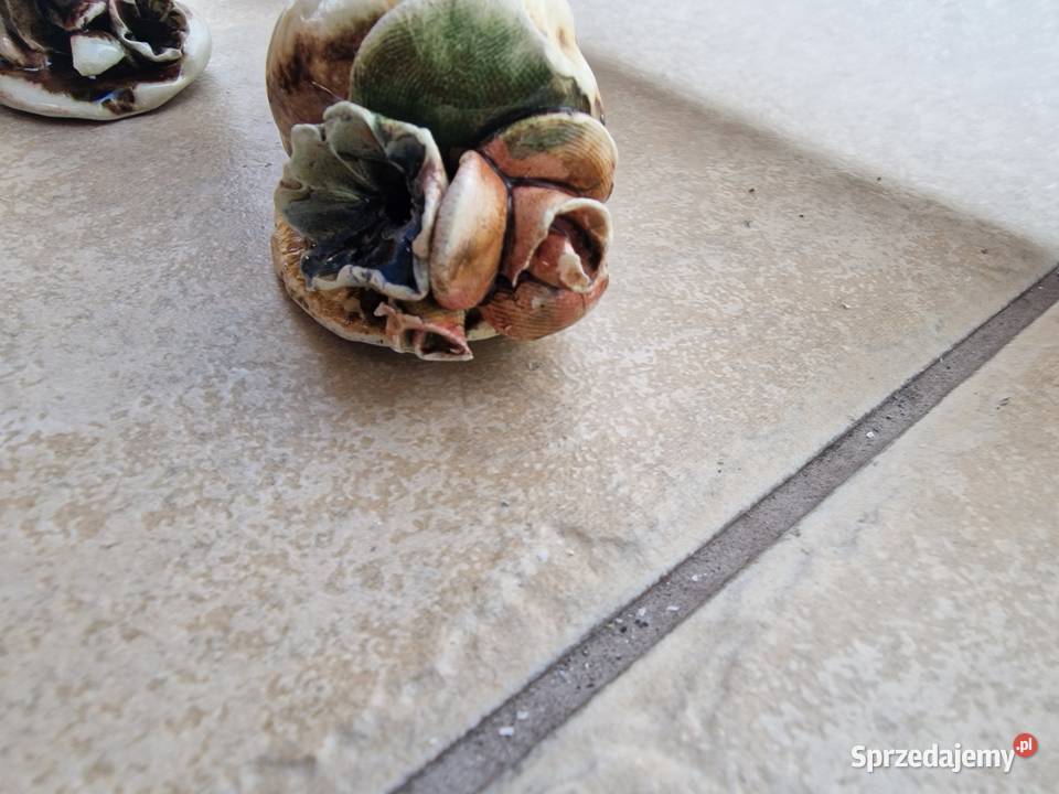 buciki otwieracztoaletka Polanica-Zdrój