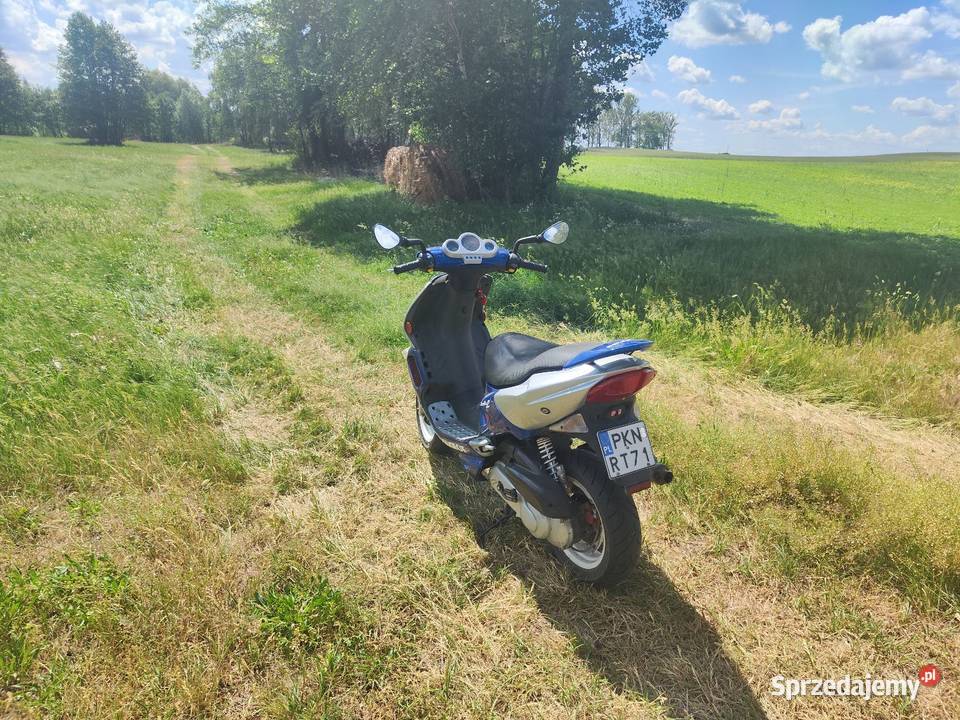 Peugeot Speedfight 100 wielkopolskie Morzyczyn