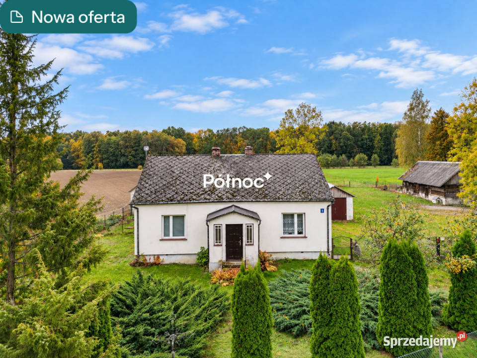 Dom ziemia rolna Augustówka Drelów Sprzedaż