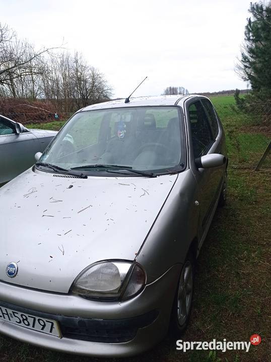 Fiat Seicento Trawniki