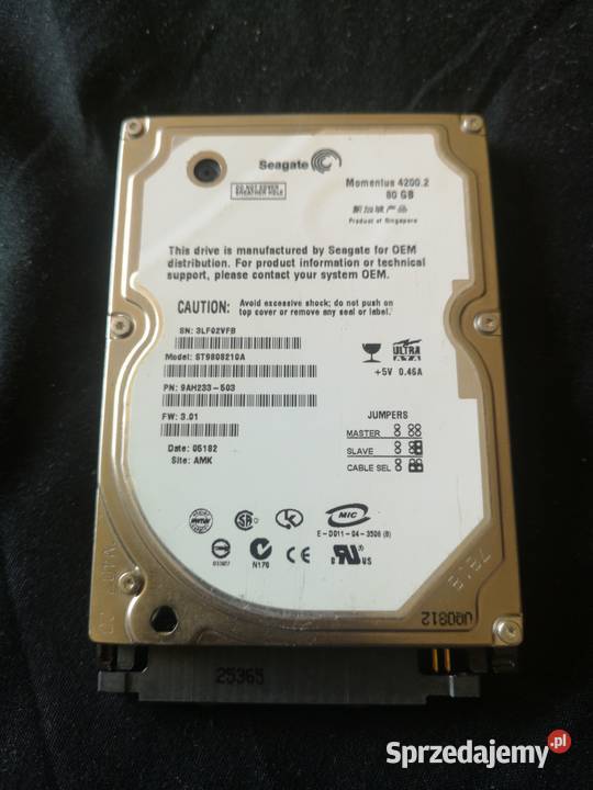 Dysk Twardy SEGATE 25 Momentus 42002 80GB Skomielna Biała