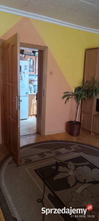 Sprzedam nieruchomość w Ostrówku Węgrowskim Ostrówek