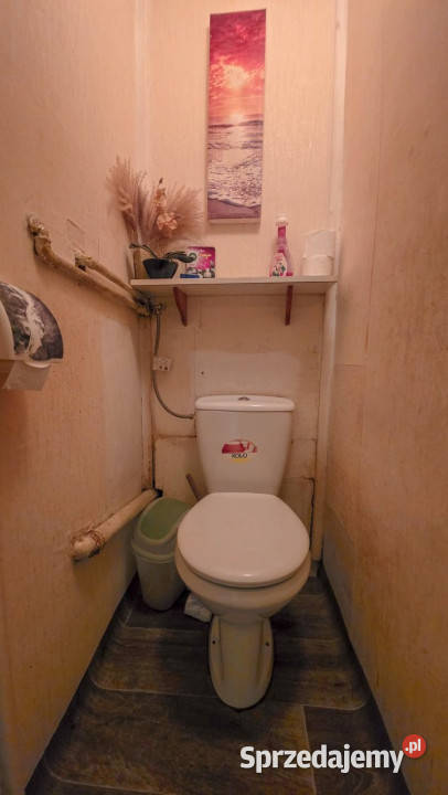 Mieszkanie wynajmę Sieradz 482m2 3 pokoje