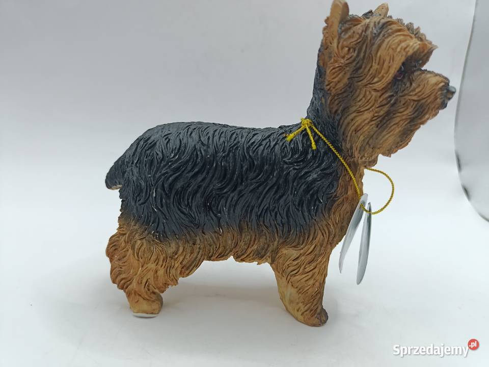 Figurka pies Yorkshire LEONARDO Dog studies Zamość