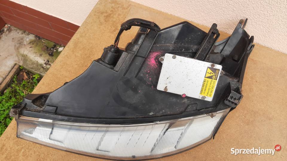 lapa prawa przednia Ksenon Ford Focus mk1 XENON Lampy przednie dolnośląskie Dębno