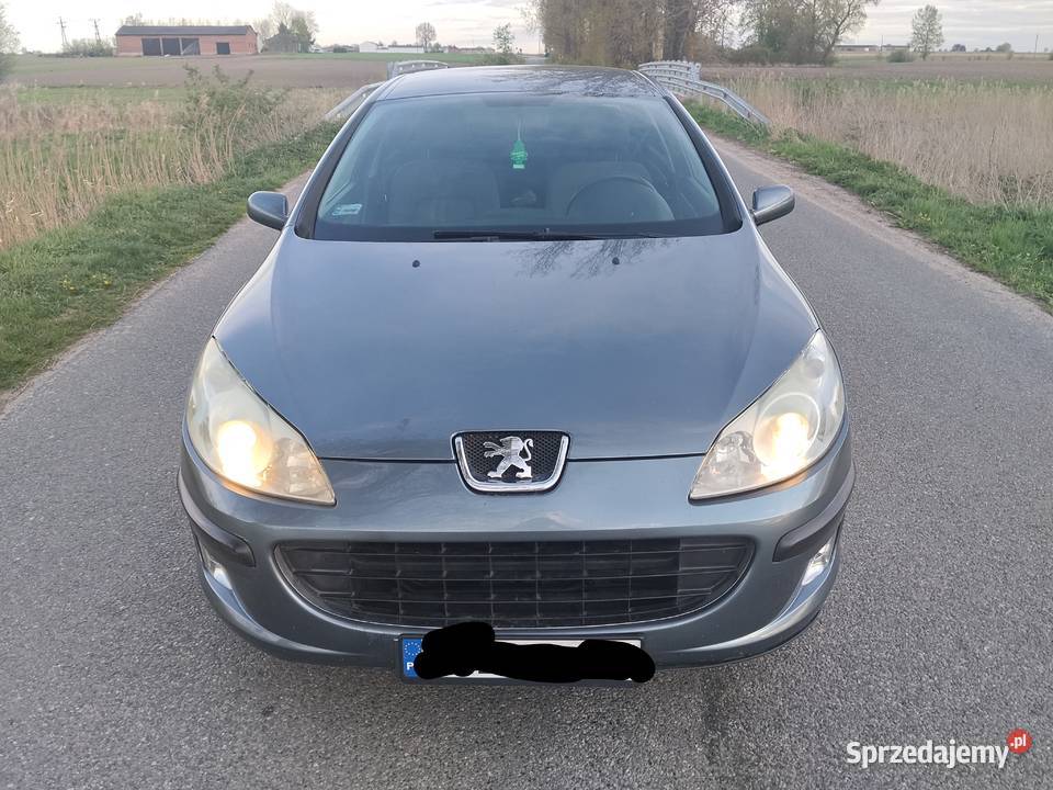 Peugeot 407 18 gaz Łęczyca