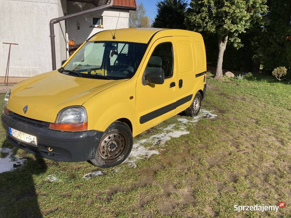 Kangoo 19d Pobiedziska