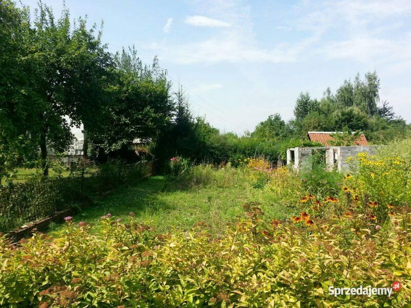 działkę ogrodową w ROD Zorza Legnica