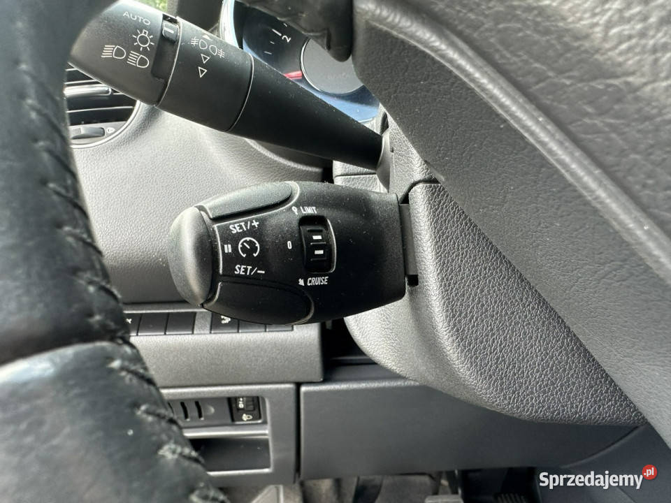 Peugeot 5008 Peugeot 5008 16 Benzyna Dach Gostyń sprzedam