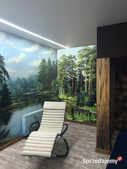 Artystyczne malowanie pokoju Murals Gdańsk