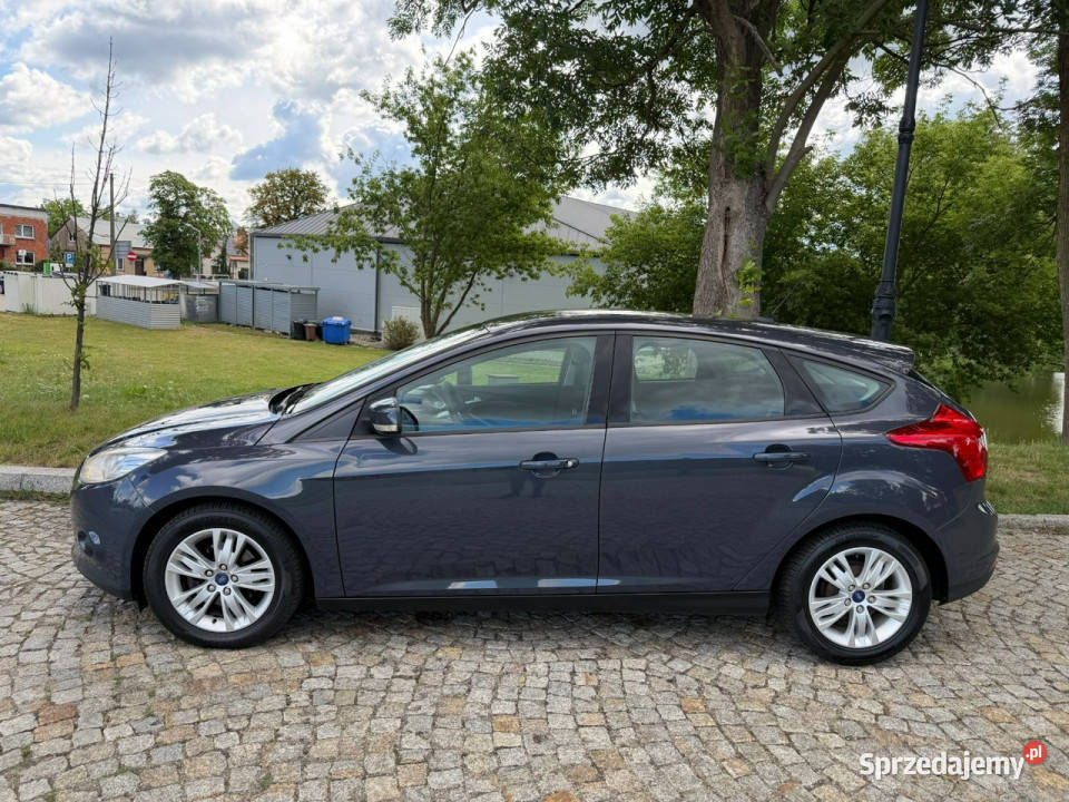 Ford Focus Ford Focus 16 TDCi DPF Champions mazowieckie Gostynin