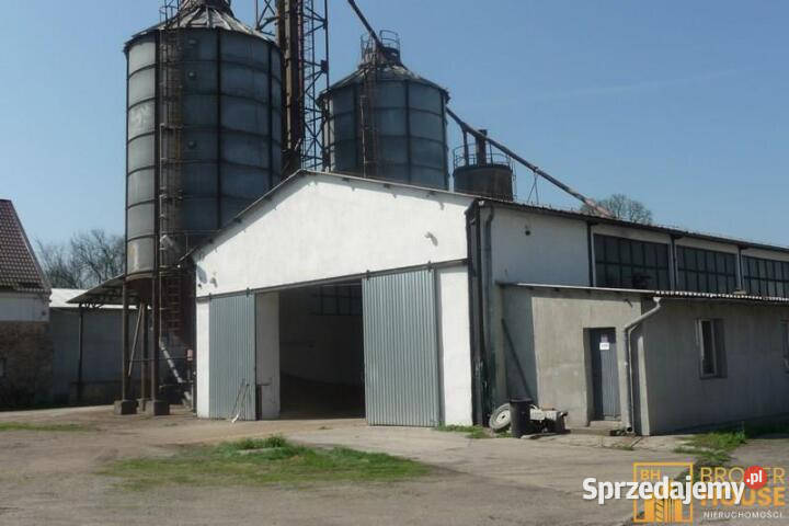 Sprzedam lokal 189897m2 Bielice Sprzedaż sprzedam