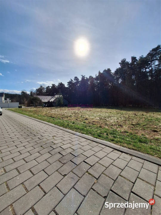 sprzedaży ziemi 3835m2 Rybnik śląskie