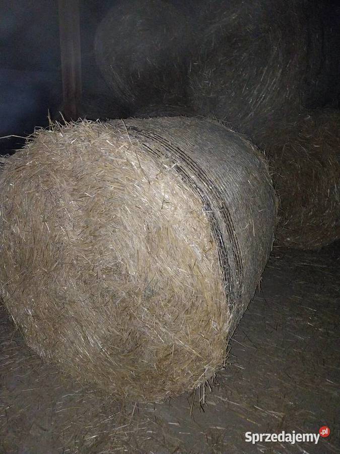 Sprzedam słomę przenną świętokrzyskie
