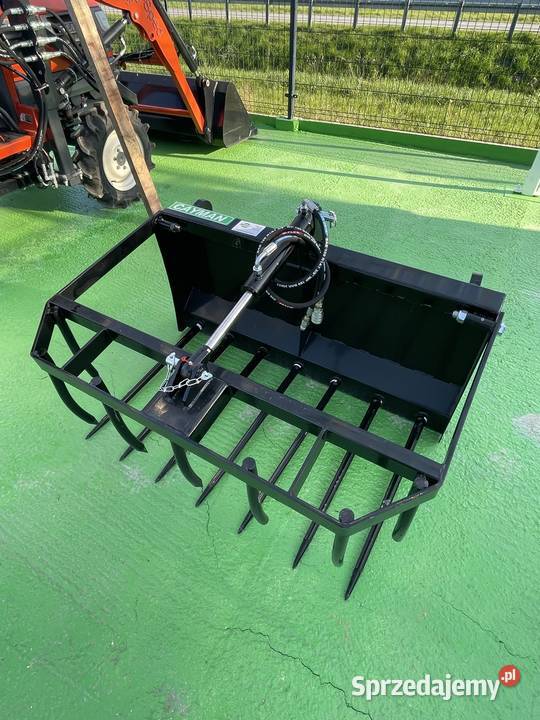 Krokodyl Cayman 14m świętokrzyskie Końskie