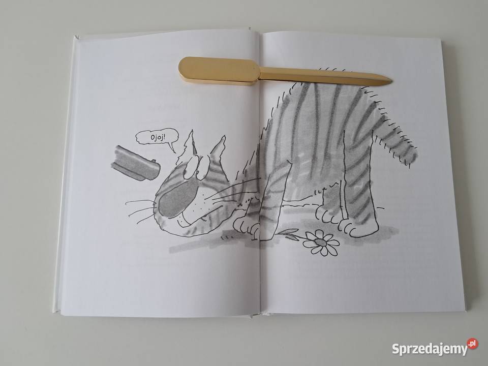 Książka Kot w stanie czystym T Pratchett G małopolskie Kraków