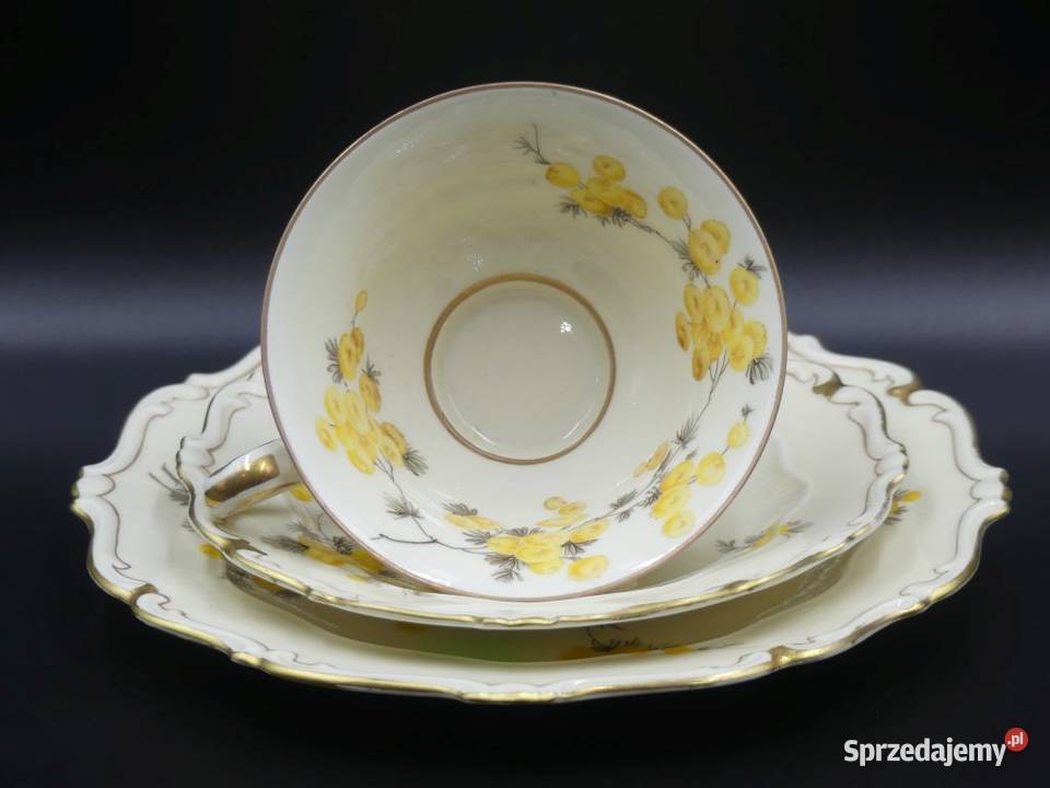 Komplet śniadaniowy Sorau Żary żółte Mimozy Poznań sprzedam