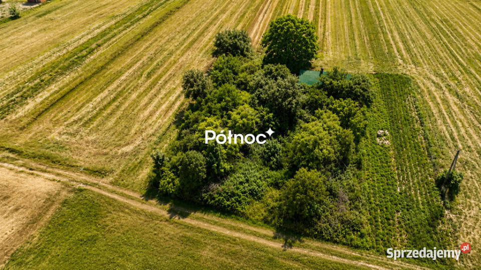 Siedlisko 9 ar 16 Zamościa woda i prąd Wielącza-Kolonia