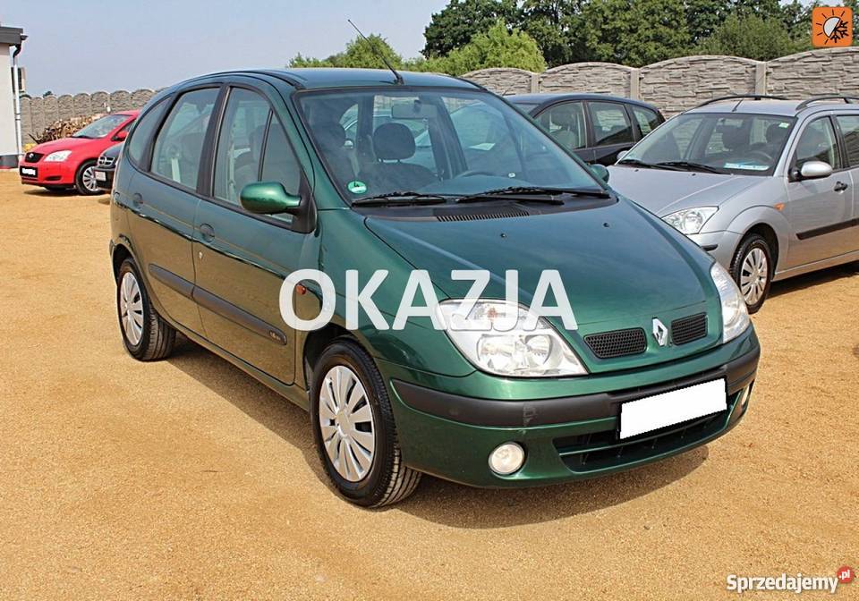 Renault zielony Strzegom