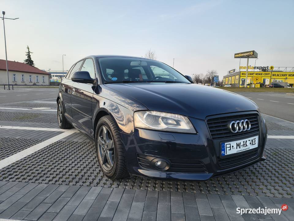 Audi A3 8P 20TDI Kormanice sprzedam