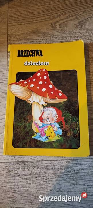 Książka Jan Brzechwa dzieciom Książki dla dzieci małopolskie Kraków