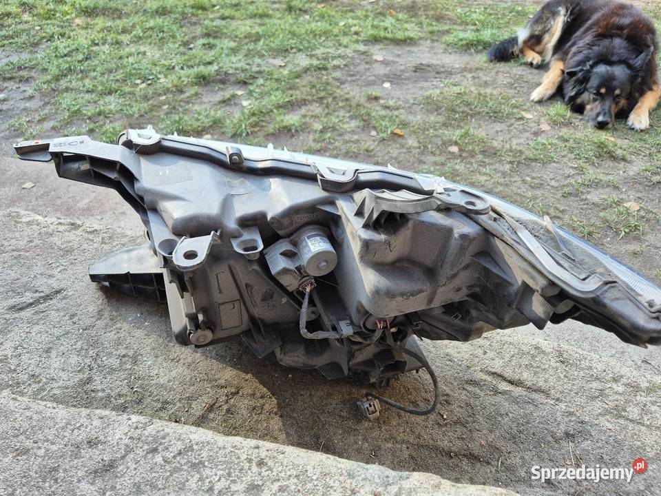 Toyota Land Cruiser J150 Lampy przednie Pionki