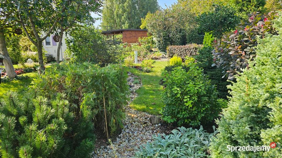 Działka ROD Wrzos w Radomiu rekreacyjna Radom