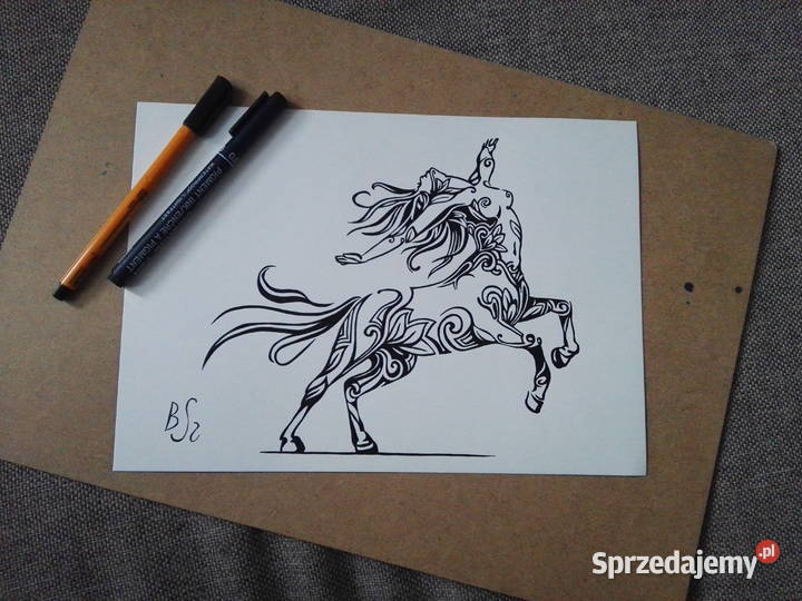 Rysunek kobietacentaur cienkopis A4 200gm2 Warszawa