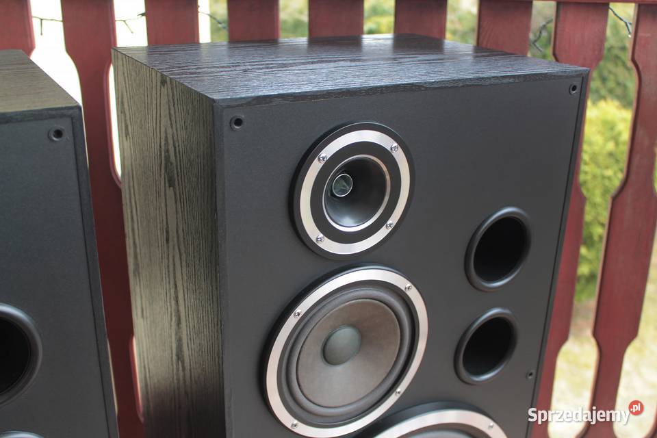 Kolumny Altus 300 Tonsil Solidne 100 sprawne Toruń