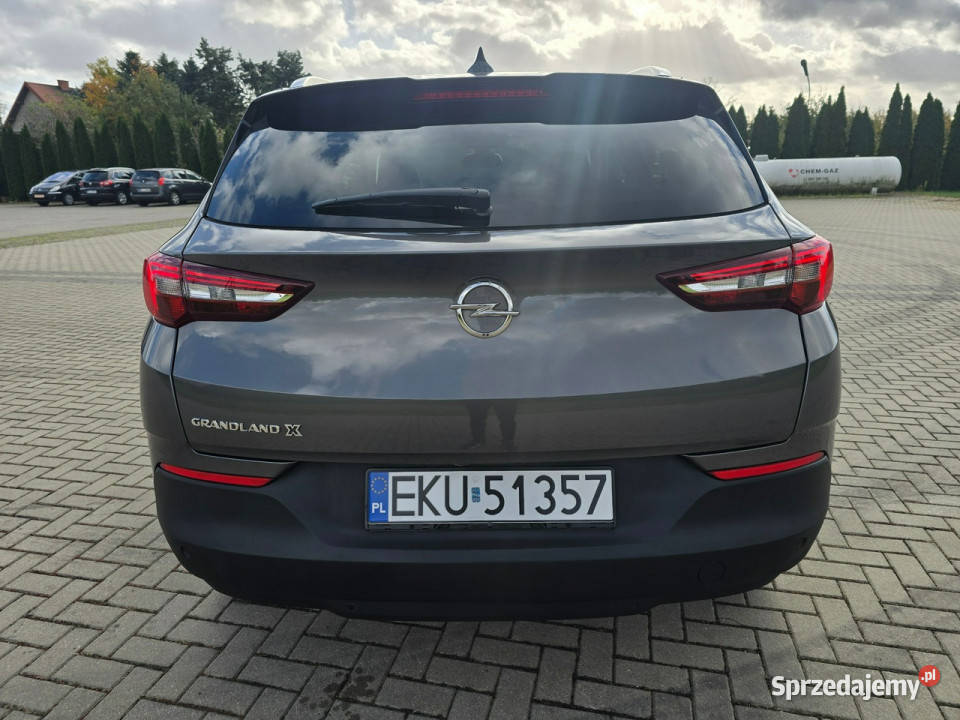 Opel Grandland X 12Turbo Benz NaviAsystent Pasa 219000km Grandland X