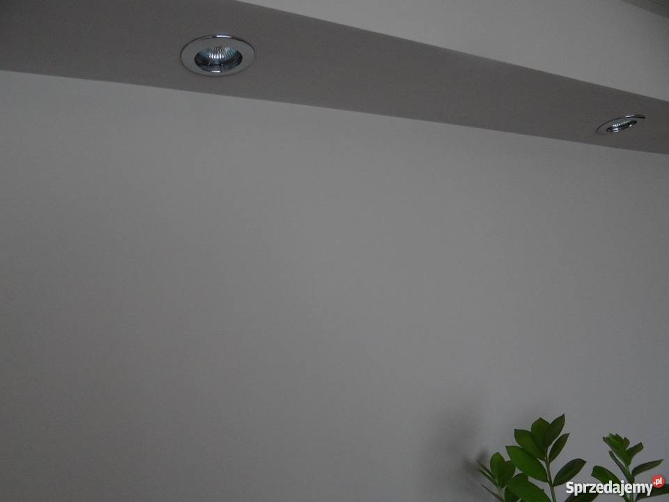 Szpachlowanie malowanie układanie paneli itp Rzeszów