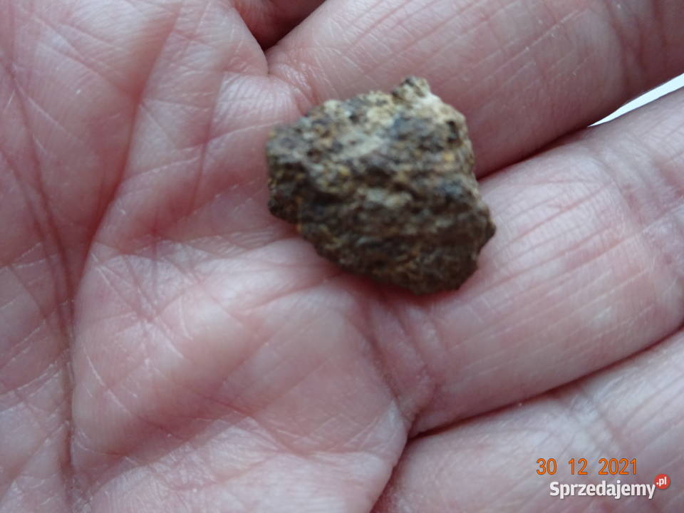 45 meteoryt Jiddat al Harasis 091 chondryt L6 Gorzów Wielkopolski