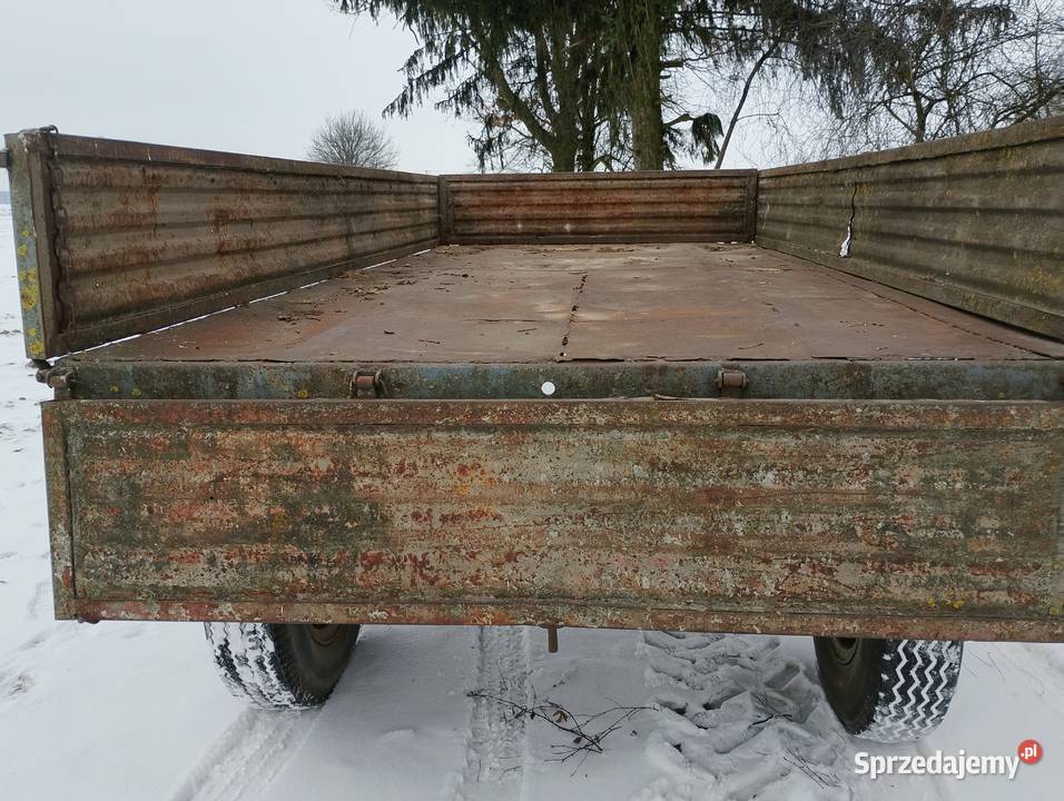 Przyczepa D50 sztywna lubelskie Serokomla sprzedam
