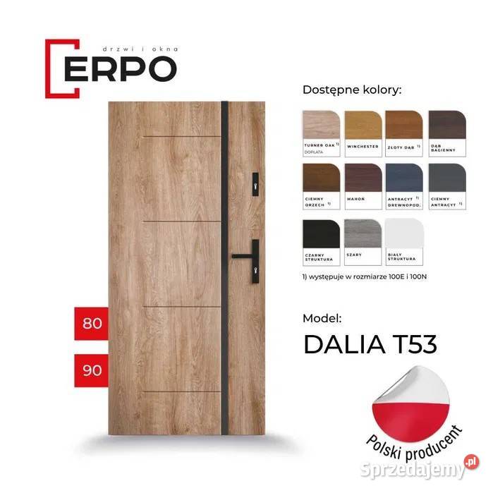 Drzwi wejściowe 80 i 90 lewe prawe różne kolory Drzwi zewnętrzne sprzedam