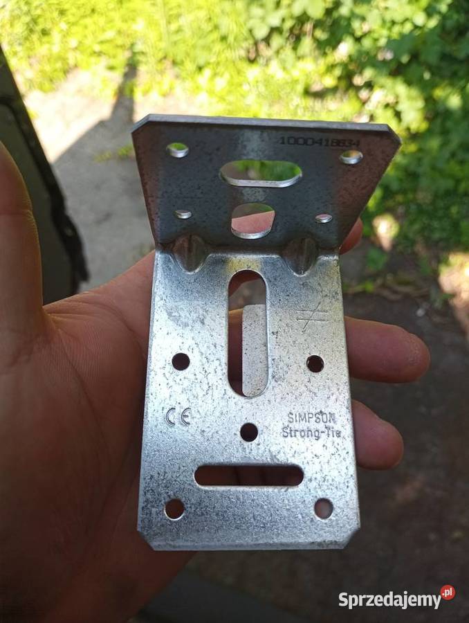 Kontowniki ciesielskie Żary