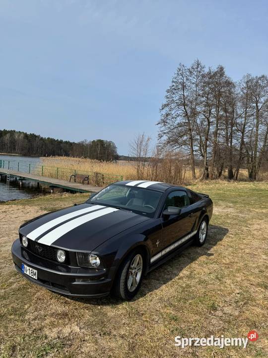Ford Mustang V6 40 Pasym