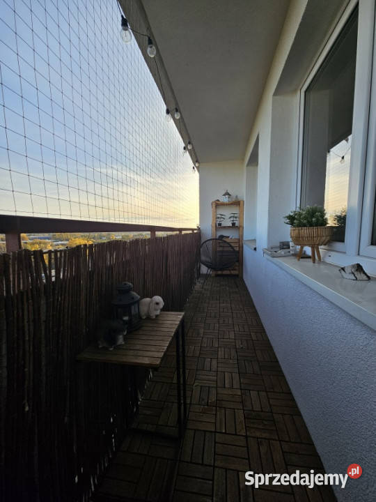 Wzgórze wolności 61m 4 pokojowe bezpośrednio