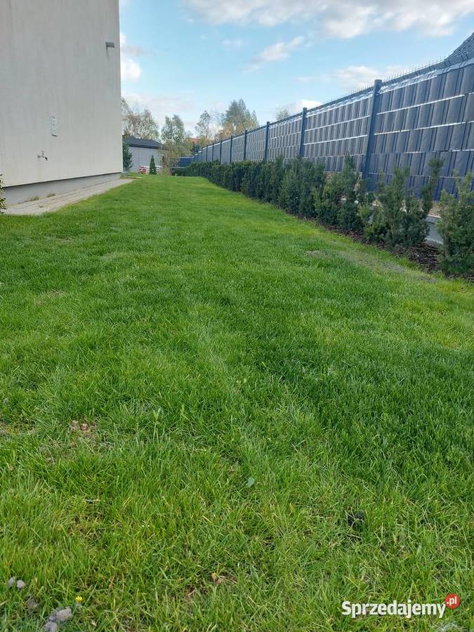 siana ziemia trawnikowa czarnoziem humus ziemia Olsztyn