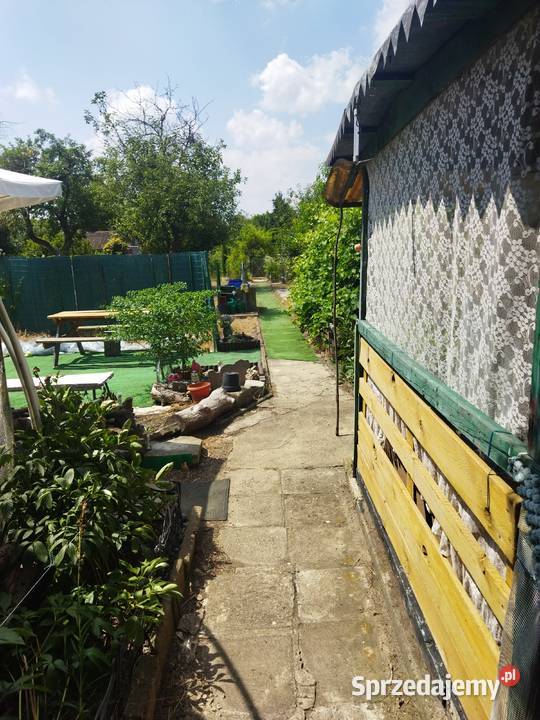 Działka ROD OŁAWKA Krakowska Wrocław