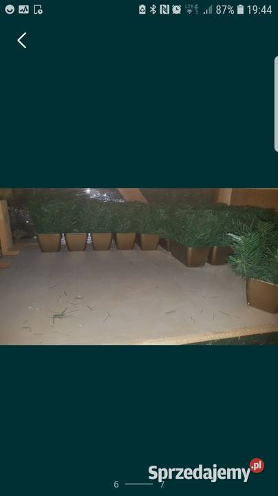 Maszyny do produkcji podkładów sztucznych Garwolin