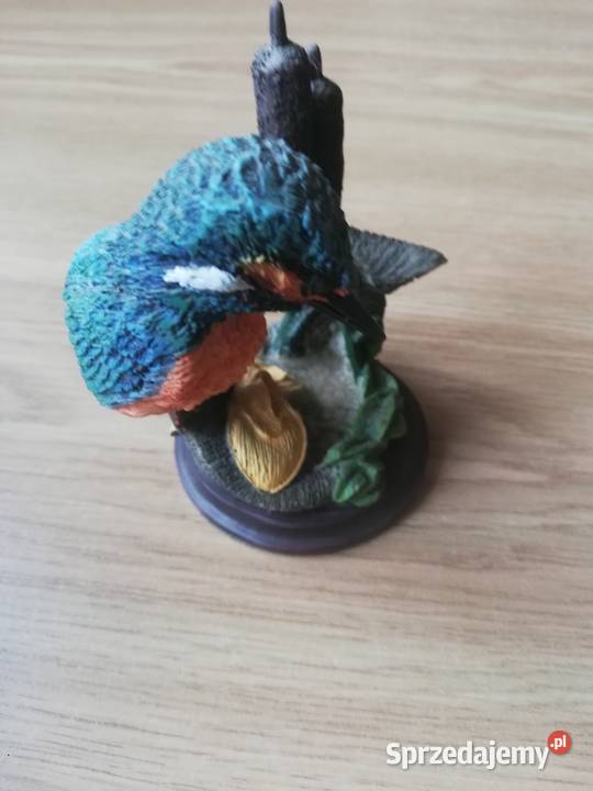 Ptaki Polskie Warszawa