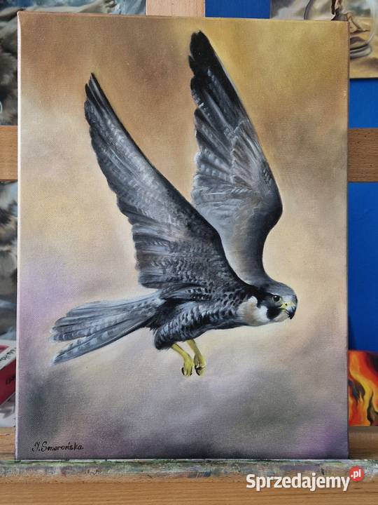 Obraz ręcznie malowany sokół 30x40 Męcina