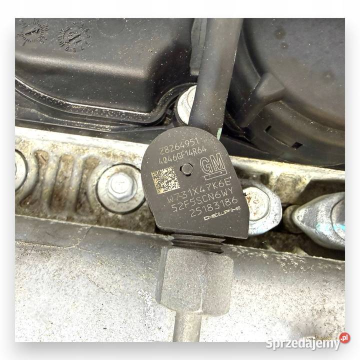 SILNIK Z22D1 Opel Antara Chevrolet Captiva 22 osobowe lubelskie