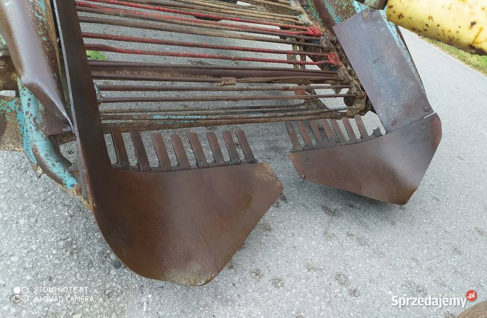 Kopaczka do ziemniaków Elewatorowa 2rzędowa Żdżary