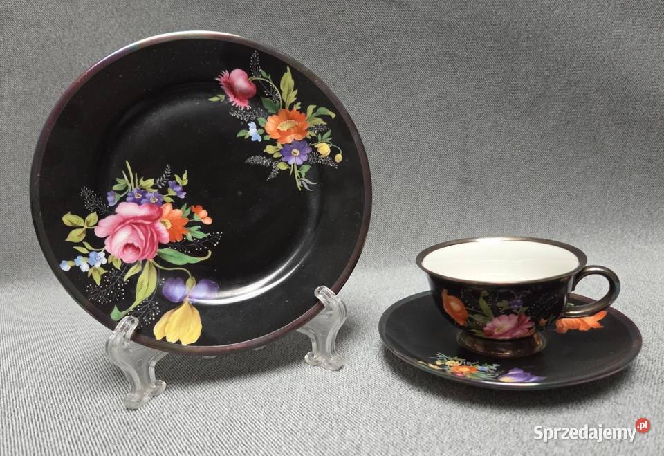 Serwis do mokki Rosenthal Aida 9268 Szczecin