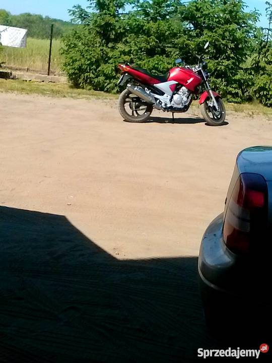 Yamaha YBR 250 2009 A2 Przygotowany do sezonu Tczew sprzedam